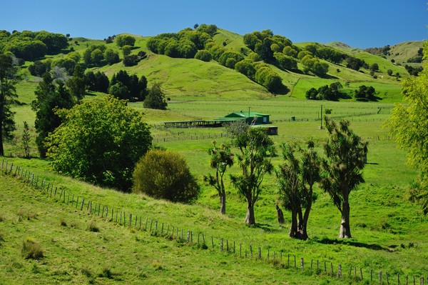 Finishing block 20 minutes from Gisborne to be auctioned by Bayleys.